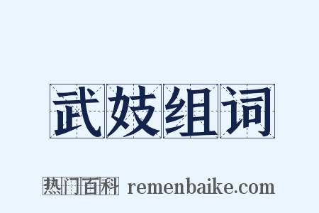 武妓组词是什么意思的图片